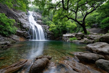 Fototapeta premium Waterfall cascading into a clear pool in a lush forest