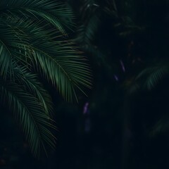A close up of palm leaves against a dark background creating a moody and tropical vibe image