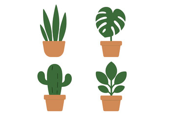Minimalist set of four popular indoor house plants: snake plant, monstera, cactus, and leafy green potted in terracotta containers