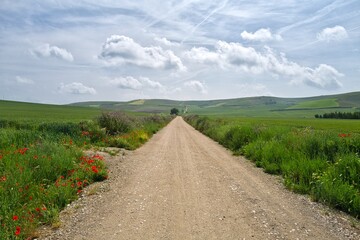 길거리 경관 자연 네이처 들판
