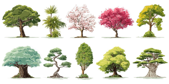 Diverse collection of ten stylized trees in various shapes sizes and colors representing nature and seasons