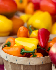 Colorful Mini Bell Peppers in Wooden Basket at Farmers Market