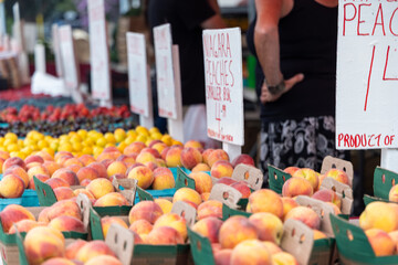 Fresh Niagara Peaches for Sale at Local Farmers Market