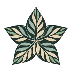 colourfull leaf logo design illustration