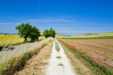 길거리 경관 자연 네이처 들판