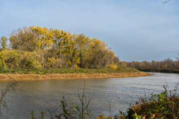 autumn in the park