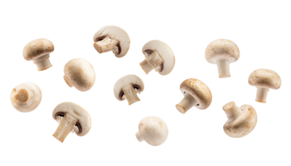 Dynamic Explosion of Fresh Champignon Mushrooms