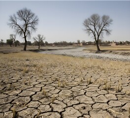 Aftermath of Drought: Dried Farmland