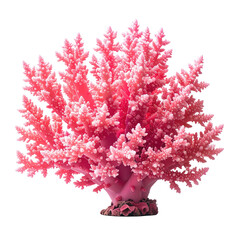 Naklejka premium Pink coral reef structure, intricate branching on black background, vibrant underwater life