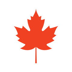 Flat Maple Leaf Vector Illustration Red and Orange Canadian Autumn Symbol Design.