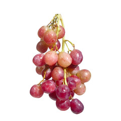 Fresh and juicy grapes, a delightful bunch of red grapes ready to be enjoyed