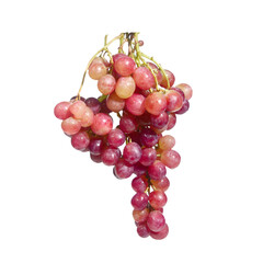 Fototapeta premium Freshly picked red grapes hanging, perfect for a refreshing snack. The vibrant colors and juicy appearance are irresistible