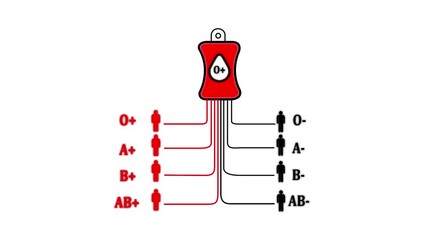 Blood Donation Compatibility Chart Showing O+ Blood Bag and Recipient Types blood types O positive