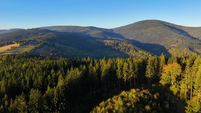 An aerial view of an evergreen pine forest in autumn in Redwood National Park, California, USA. A drone flies over the wild forest. The view extends to the treetops.