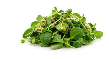 純粋な白い背景の上で瑞々しい生命力に満ちた鮮やかな緑色のマイクログリーンが明るい光を受けてきらめく小さな種子も顔を出す生命力と栄養が凝縮された食卓を豊かに彩る食材の魅力. AI Generated