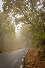 Sierra de Tormantos (Extremadura ) en otoño