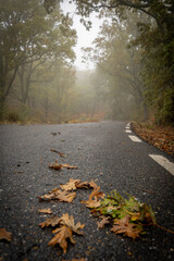 Sierra de Tormantos (Extremadura ) en otoño