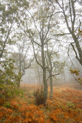 Sierra de Tormantos (Extremadura ) en otoño