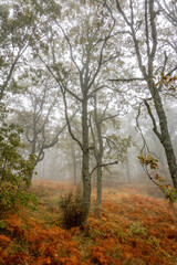 Sierra de Tormantos (Extremadura ) en otoño