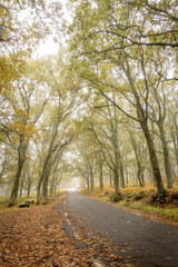 Sierra de Tormantos (Extremadura ) en otoño