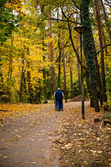 Fototapeta premium Autumn Walk — Caring Moment in the Park