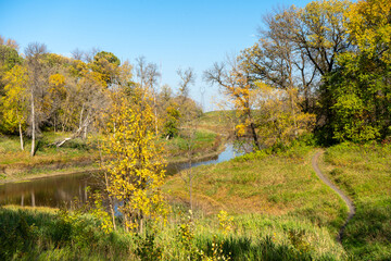 autumn in the forest