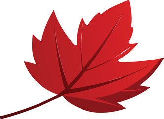 Vibrant red maple leaf isolated on white background