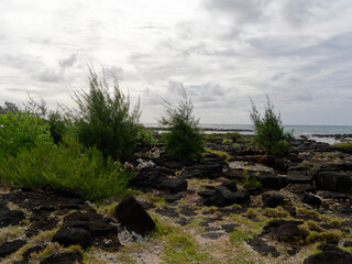 Black rock on the beach - Pointe-aux-Cannoniers (Mauritius)