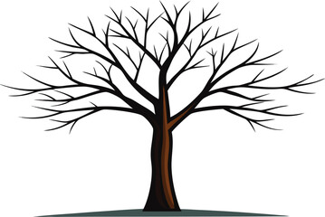 Obraz premium Bare winter tree silhouette against white background