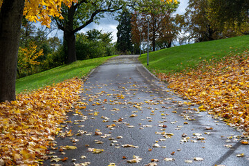 Schöner Spazierweg im herbstlichen Park