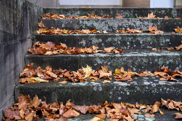 Herbstlaub liegt auf Steinstufen