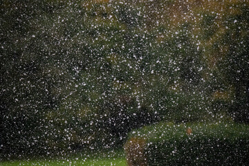 Feine Wassertropfen spritzen durch die Luft