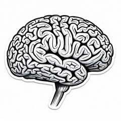 Detailed black and white human brain illustration side view