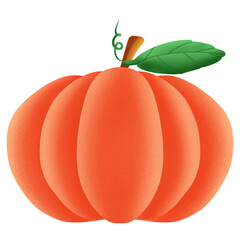 Big Orange pumpkin