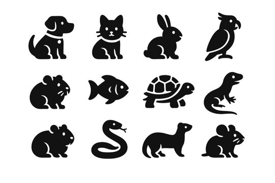 Guinea icon fish turtle parrot hamster rabbit ferret vector pet smart cat