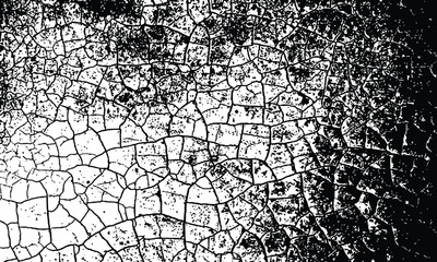 Closeup of a cracked, textured surface in black and white, showing intricate weblike fissures and a gritty, distressed appearance
