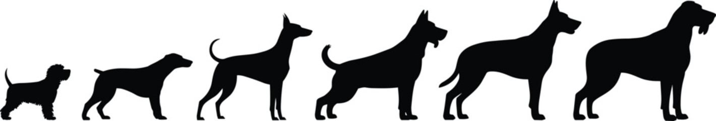 Dog size progression, breed silhouette, canine diversity, pet comparison, animal profile, small to large, growth, shape, posture, scale