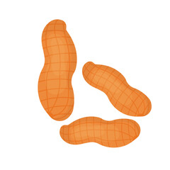 peanut vector illustration
