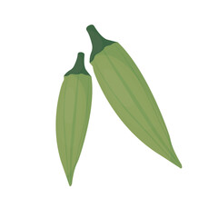 okra fruit vegetable vector or commonly called lady's finger