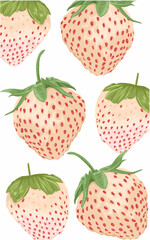 a set of fruit white strawberries red spots with leaves issolated on white 