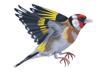 Goldfinch bird in flight, colorful illustration