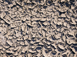 Dried earth captures the effects of drought and climate on land, highlighting cracks and patterns formed over time