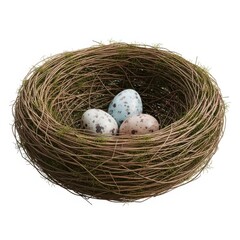 Obraz premium A birds nest containing three speckled eggs, isolated on white background