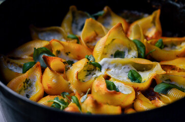 Traditional Italian conchiglioni pasta beautifully arranged on a rustic background. A classic taste of Italy captured in a warm and inviting food scene — perfect for authentic cuisine, restaurant menu