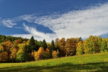 Waldrand in Herbstfarben Nähe Payerbach, Österreich