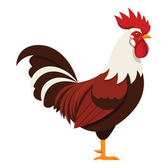 Stylized Rooster Vector Illustration Isolated on White Background
