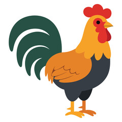 Cartoon Rooster Illustration Flat Design Style