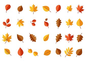 Flat design autumn leaves vector collection for fall season graphics, diverse stylized foliage for seasonal design elements
