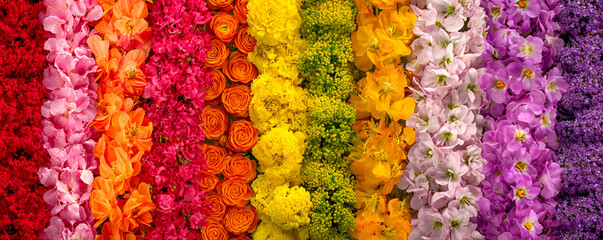 Colorful and vibrant flower collage with bright flowers, roses, zinnias and petals in a fully colored display