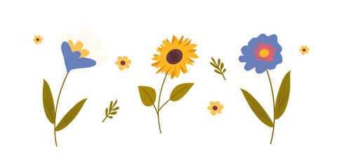 Spring flowers. Summer flowers. flat style hand drawn. Flowers of different shapes. Vector square isolated on white background.